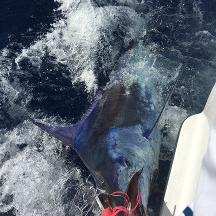Bost #12 Ocean Cay Trolling Lure