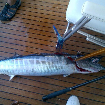 Bost High Speed Wahoo Lure Pack Light Tackle