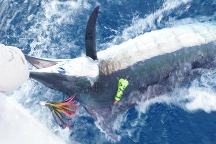 Bost #42 Billfish Buster