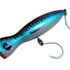 Blue Mackerel / 6.5